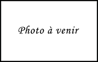 poulain canadien à vendre